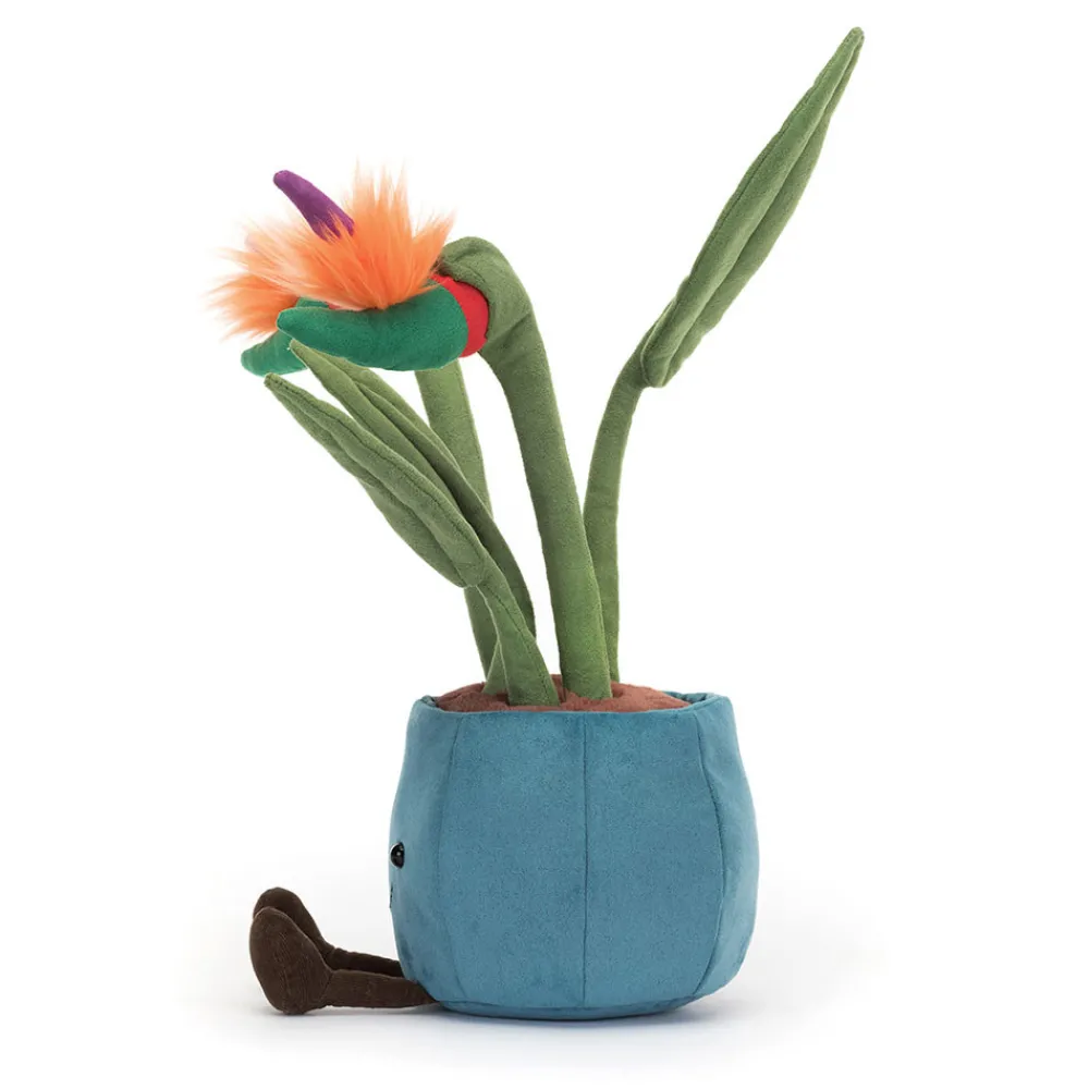 Hot Amuseables Bird of Paradise