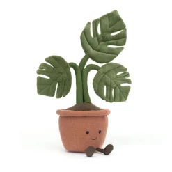New Amuseables Monstera Plant