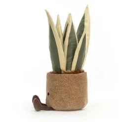 Outlet Amuseables Snake Plant