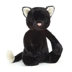 New Bashful Black Kitten