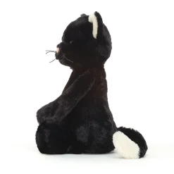 New Bashful Black Kitten