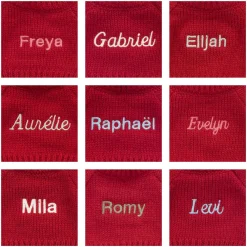 Best Bashful Fox Cub with Personalised Red Jumper
