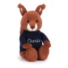 Hot Bashful Squirrel with Personalised Navy Jumper