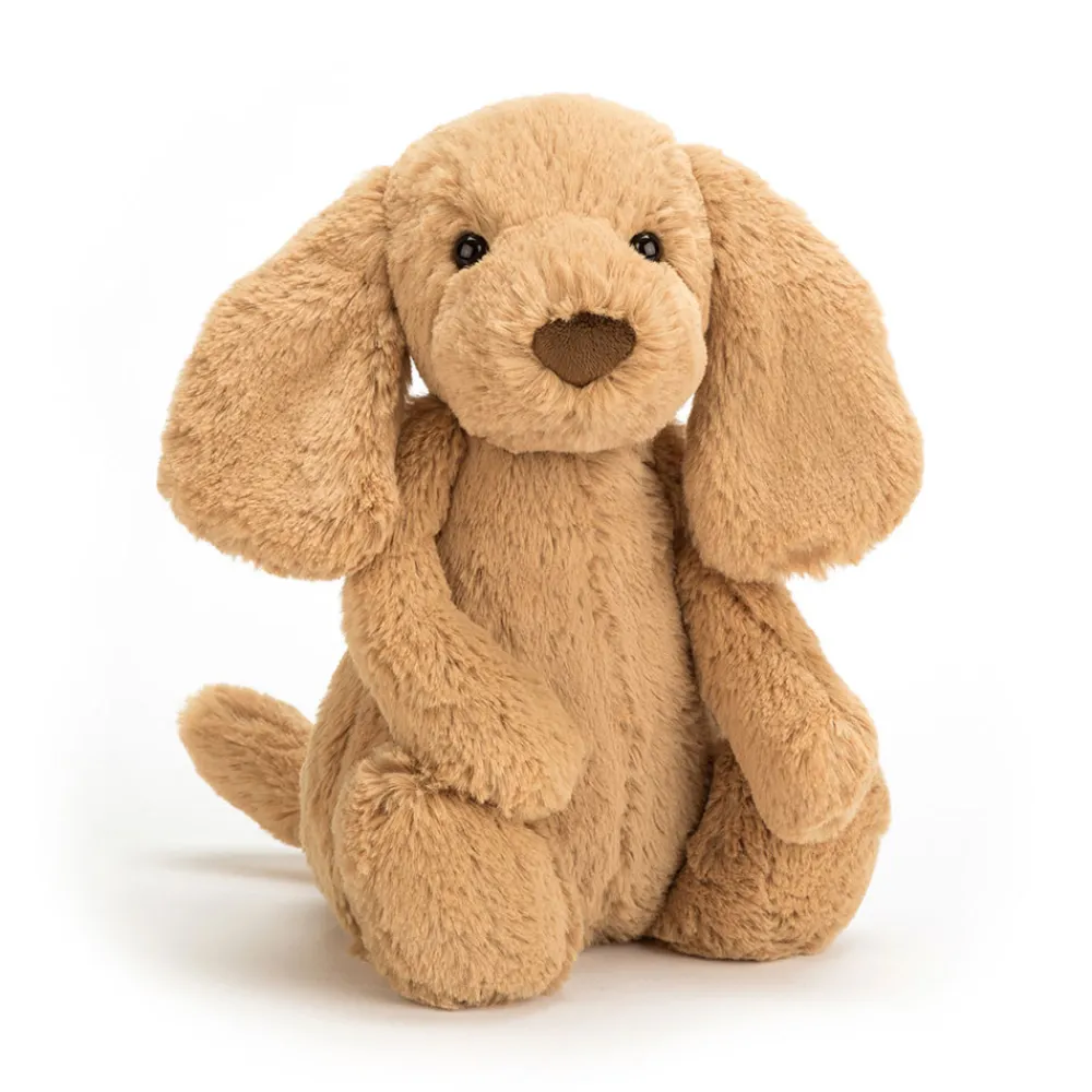 Online Bashful Toffee Puppy