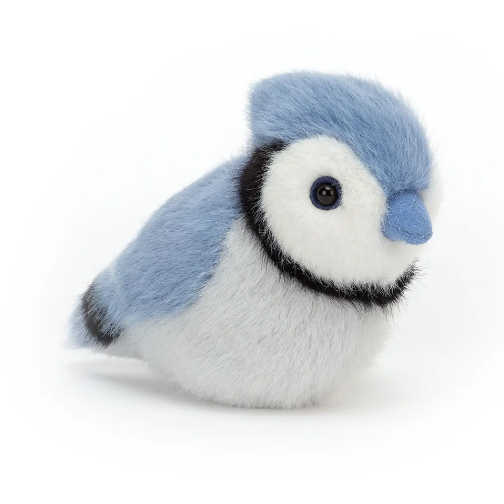 Best Birdling Blue Jay
