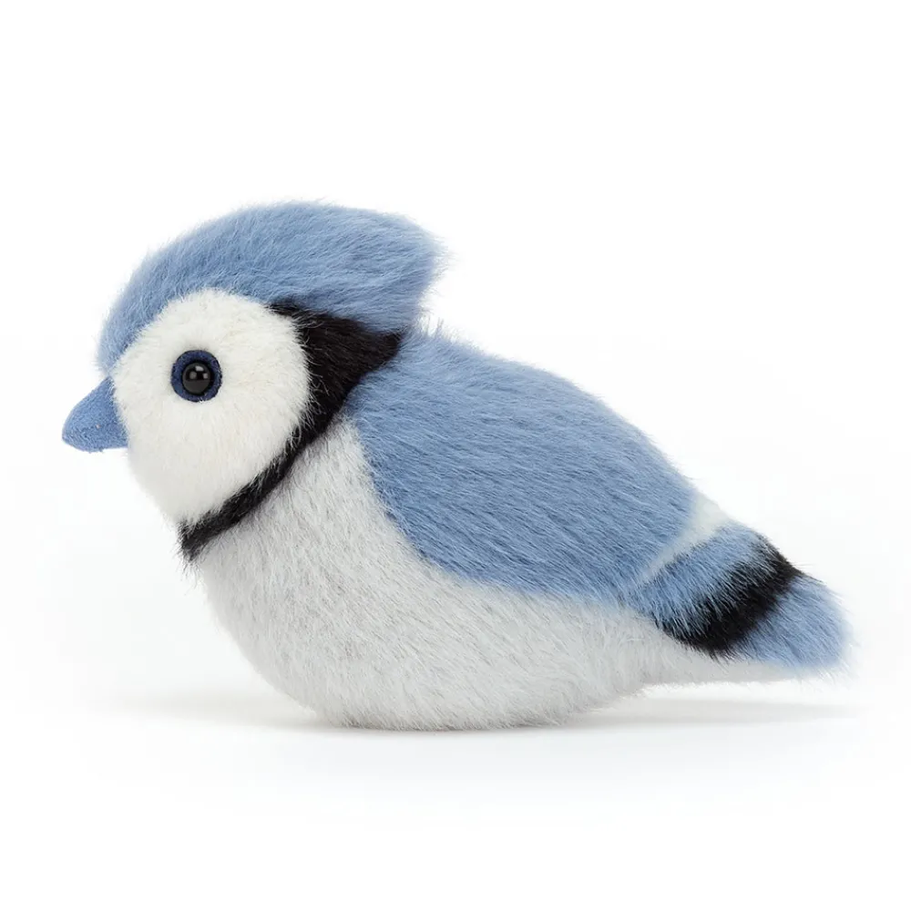 Best Birdling Blue Jay