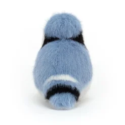 Best Birdling Blue Jay