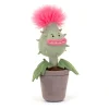 Sale Carniflore Priscilla
