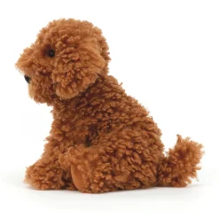Hot Cooper Doodle Dog