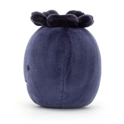 Fabulous Fruit Blueberry