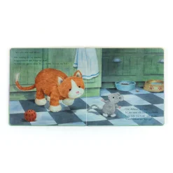 Discount Ginger, the Courageous Kitten Book