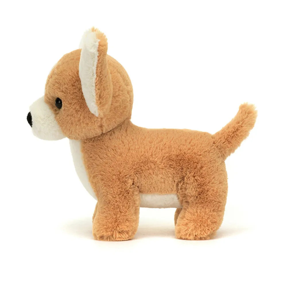 Sale Isobel Chihuahua