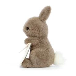 Best Messenger Bunny