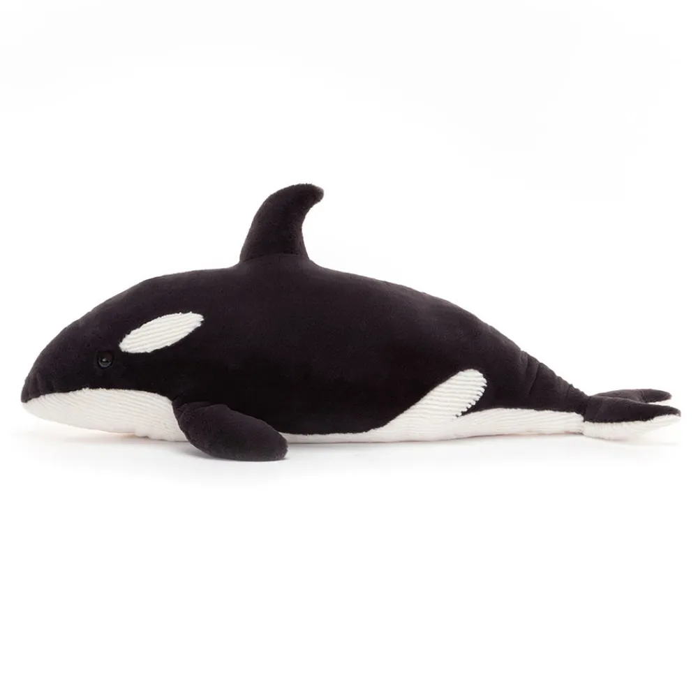 Hot Ollivander the Orca