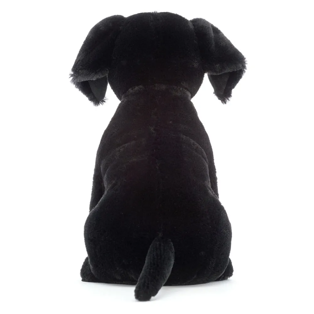 New Pippa Black Labrador