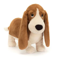 Best Randall Basset Hound