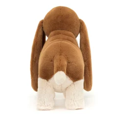 Best Randall Basset Hound