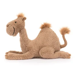 Hot Richie Dromedary