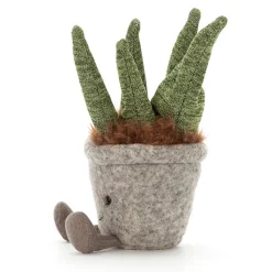 Best Silly Succulent Aloe