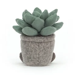 Silly Succulent Azulita