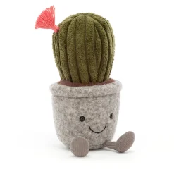 Online Silly Succulent Barrel Cactus
