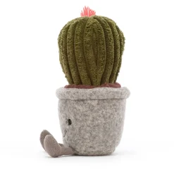 Online Silly Succulent Barrel Cactus
