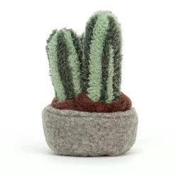 Discount Silly Succulent Columnar Cactus