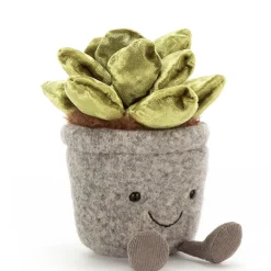 Clearance Silly Succulent Jade