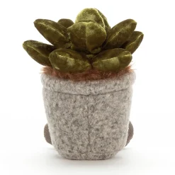 Clearance Silly Succulent Jade