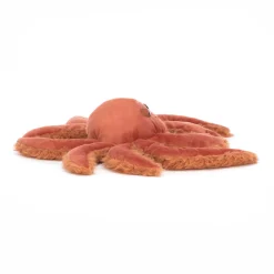 Online Spindleshanks Crab