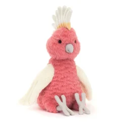 Clearance Squawkatoo