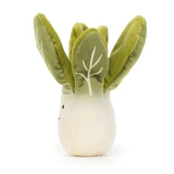 Discount Vivacious Vegetable Bok Choy