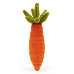 Best Vivacious Vegetable Carrot