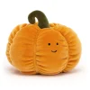 New Vivacious Vegetable Pumpkin
