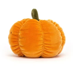 New Vivacious Vegetable Pumpkin