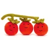 New Vivacious Vegetable Tomato