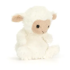 Discount Yummy Lamb